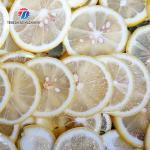 1000KG/H Vertical Root Vegetable Cutting Machine Potato Shred