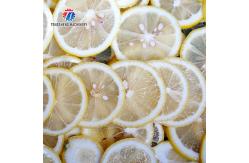 China Multifunctional Vertical Bulb Vegetable Processing Machine Bamboo Shoots Cutter supplier