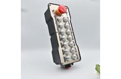 China 12Volt Push Button Remote Control , 500m Wireless Remote Controller supplier