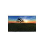 AUO B133QAN03.2 HW1A 2560*1600 TFT-LCD DISPLAY for sale