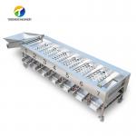 Circulating Hole Fruit Processing Line ,  Tengsheng Roller Conveying Vegetable Processing Line