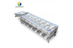 China Circulating Hole Fruit Processing Line ,  Tengsheng Roller Conveying Vegetable Processing Line supplier