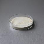 Water Soluble Protease Proteinase 2400GDU Bromelain Manufacturer Light Yellow Powder for sale