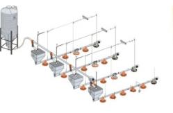 China Drinking Automatic Chicken Feeding System For Chicken Poultry Farming Equipment supplier