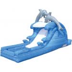 Inflatble Slide / inflatable pool slide / inflatable dolphin water slide for sale