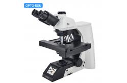 China Research Scientific Full Auto Motorized Opto-Edu Binocular Biological Microscope A12.1095 supplier