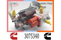 China Cummins M11 ISM11 Engine Parts Injection Fuel Pump 3075340 3060492 3041800 supplier