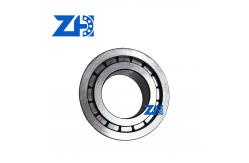 China R909156259 Cylindrical Roller Bearing P0 Precision supplier