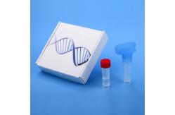 China Saliva Collector Saliva Sampler Funnel Shaped Saliva Collector Genetic Testing DNA supplier