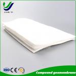Corrosion Resistant HDPE Composite Geomembrane with 0.2~3mm Thickness for Harsh Environments for sale