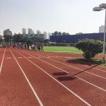 IAAF Standard Aging Resistance Athletic Track Surfaces UV-Resistance for sale
