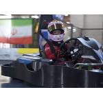 4 Wheels Drive Electrical Go Kart 12Nm Fast Go Karts For Adults for sale