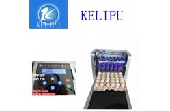 China Electronic Intelligent 12 V Egg Printer Machine With One Year Warranty Time supplier
