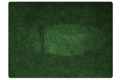 China C201 BTZZ-Ⅰ Thermotropic fluorescence instrument for developing sweat fingerprint on paper supplier