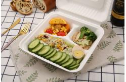 China 3 Compartment Sugarcane Bagasse Lunch Box Clamshell Containers For Camping Picnic supplier