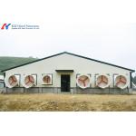 Steel Structure Broiler Chicken House with Automated Feeding System for sale