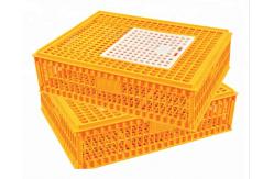 China Orange Plastic Chicken Transport Cages PE Plastic Poultry Carrier supplier