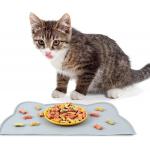 Silicone Pet Food Mat For Floor Waterproof Non Slip Pet Feeding Mat Raised Edge Cat Bowl Mat Travel Easy ToTake PlaceMat for sale