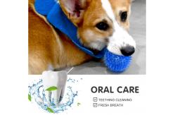China Interactive Natural Rubber Dog Chew Toys Eco Friendly supplier