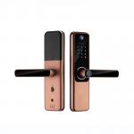 9 Languages Auto Door Lock Aluminum Alloy Remote Door Lock With Camera for sale