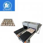 Intelligent Safe Egg Stamping Equipment , Graphic Logo Making Machine For Eggs for sale