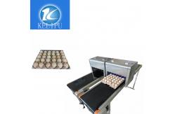 China Intelligent Safe Egg Stamping Equipment , Graphic Logo Making Machine For Eggs supplier