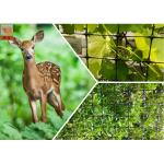 1m Height Black Plastic Deer Fence Netting To Protect Plants Hole Size 20mm for sale