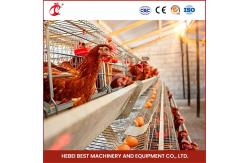 China 96 Birds Automatic Chicken Cage Equipment Battery Egg Layer Cage For Laying Hens In Nigeria Iris supplier