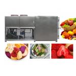 PLC 100kg Vacuum Freeze Drying Machine 10 Square Meters 33Kw for sale