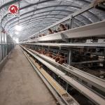 H Type Layer Chicken Cage Hot Dipped Galvanised Chicken Farm for sale