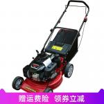 GXV160 Gasoline Remote Control Greenworks Lawn Mower Equipment For Agriculture for sale