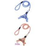 Pet Training  Dog Shock Collar Puppies Tools Basic Concepts Learning Curve