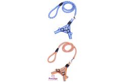 China Pet Training  Dog Shock Collar Puppies Tools Basic Concepts Learning Curve supplier