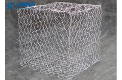 China Professional Gabion Wire Mesh Hot Dipped Galvanized PVC Coated Durable Rust Proof supplier