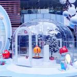 Weather Resistance Outdoor Dining Bubble Tent Sports For Backyard for sale