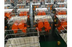 China Automatic Orange Juicer Machine manufacturer