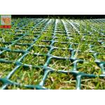 Grass Protection Turf Reinforcement 650GSM Garden Mesh Netting for sale