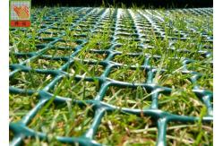 China Grass Protection Turf Reinforcement 650GSM Garden Mesh Netting supplier