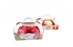 China Take Out Fruit Paper Box , Vegetable Cardboard Boxes With Handle supplier
