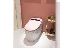 China 3L 6L Floor Mounted Smart Toilet Remote Control Siphonic Flushing supplier
