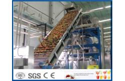 China Peach / Apricot / Plum Fruit Juice Production Line Fruit Processing Machinery supplier
