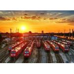 China To US Amazon FBA LCL Sea Freight , LCL Freight Forwarder for sale