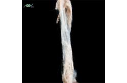 China A Grade Recycled PET Non Siliconized Low Melting Fiber For Spinning supplier