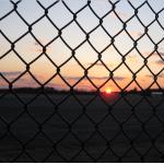 6 Foot Chain Link Wire Mesh Fencing Hot Dip Galvanized Pvc Coated for sale
