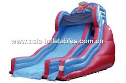 China Customized Inflatable Water Slides For Summer In Aqua Park supplier