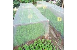 China HDPE UV Garden Netting Greenhouse Agricultural Grapes Gardens supplier