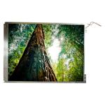 HSD121PS11-A LCD Screen Panel 12.1 inch 800*600 Laptop LCD Display for sale