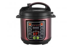 China 710W 50 Minutes Timer 2.5 Quart Multifunction Pressure Cooker supplier