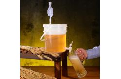 China Customized Logo 2 Lids Plastic Fermenter for Automatic Fruit Beer Enzymes Container supplier