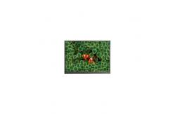 China New F063A02-6T1 6.3 inch 1080*2280 Touch LCD Panel LCD Screen supplier
